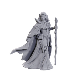 D&D Nolzur's Marvelous Miniatures: Limited Edition 50th Anniversary — Elves