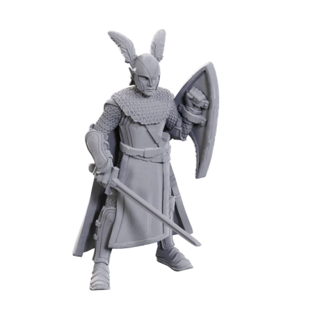 D&D Nolzur's Marvelous Miniatures: Limited Edition 50th Anniversary — Elves