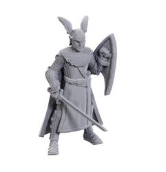 D&D Nolzur's Marvelous Miniatures: Limited Edition 50th Anniversary — Elves