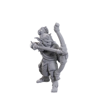 D&D Nolzur's Marvelous Miniatures: Limited Edition 50th Anniversary — Goblins