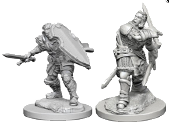 human paladin
