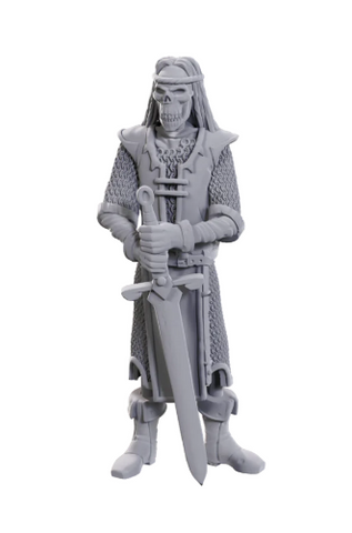 &D Nolzur's Marvelous Miniatures: Limited Edition 50th Anniversary — Skeleton Knights